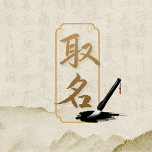 专业起名